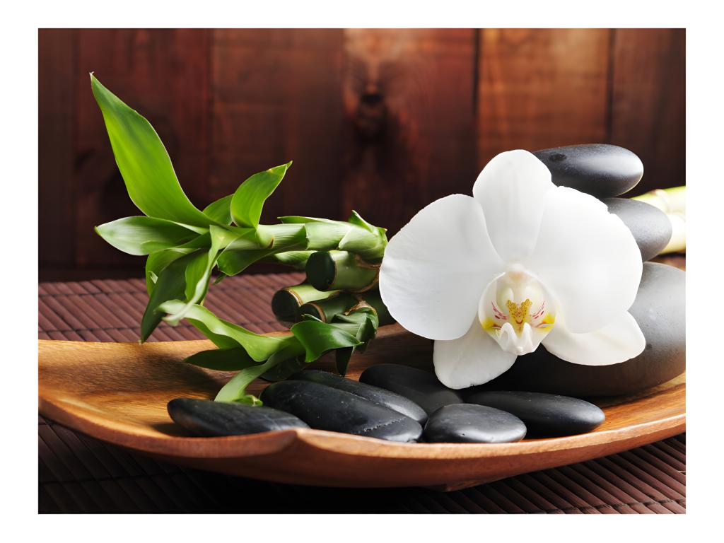 Orient Ventoriq non-woven wallpaper 300x231 cm ELCM77390