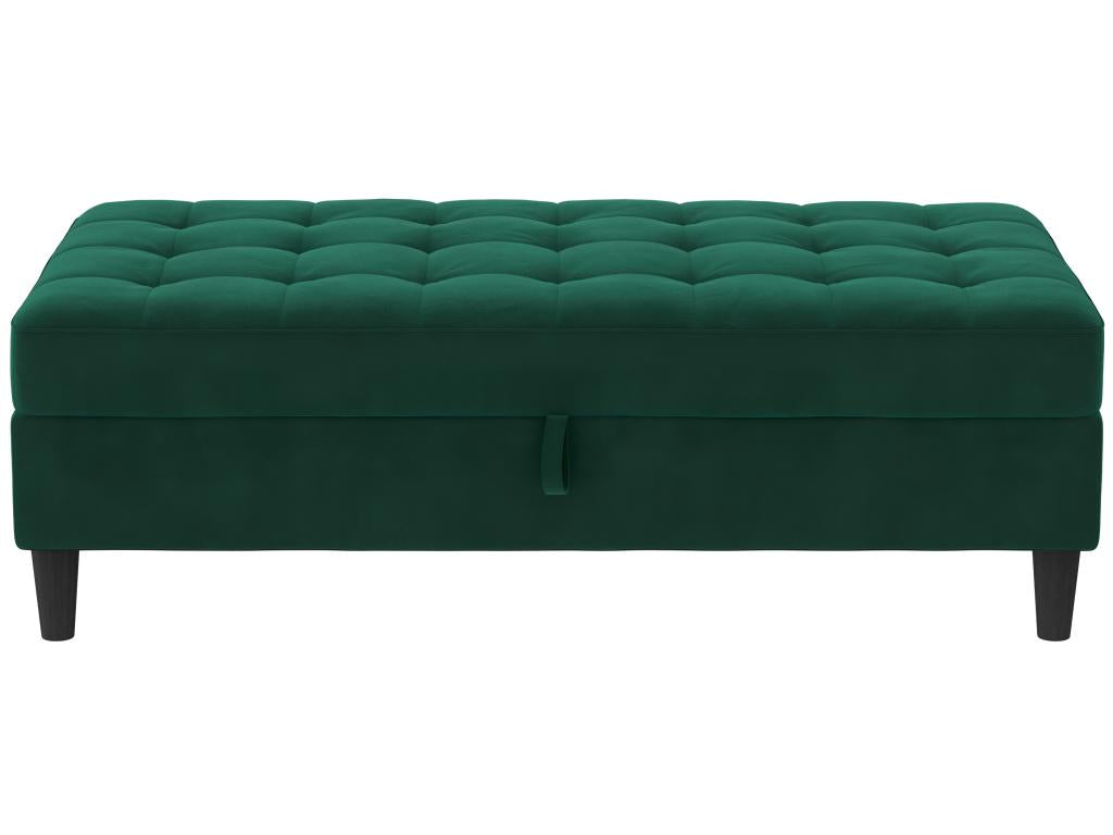 Presley - Pouf avec rangement en velours vert foncé DGKL46326