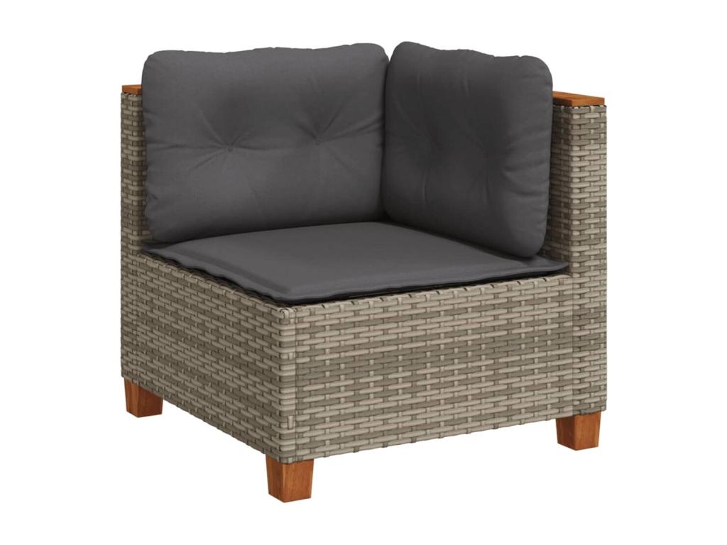 Salon de jardin avec coussins 10 pièces gris résine tressée CUTF87839