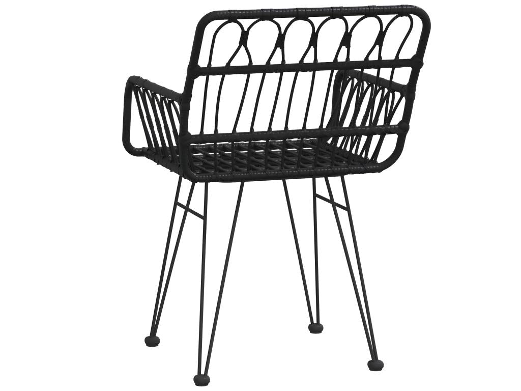 Set of 2 garden chairs with armrests, black, 56x64x80 cm, ETKW89031