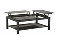 Table basse de jardin élévatrice en aluminium Ventoriq BPPX38402