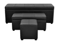 Set de banc de rangement en simili cuir Noir AQGP13666