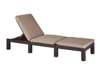 Ventoriq Brown Chaise Lounge with Cushion OYSG14027